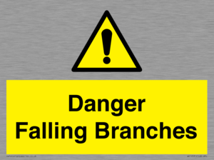 Danger Falling Branches
